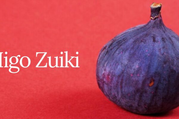 higo zuiki