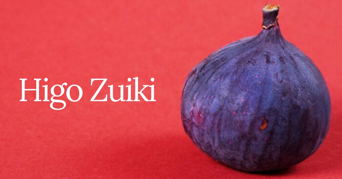 higo zuiki