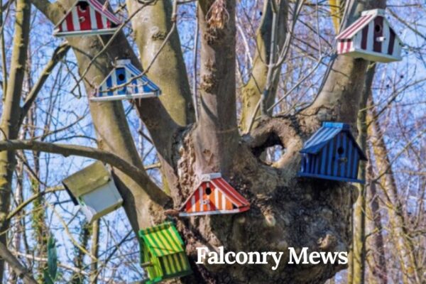 falconry mews