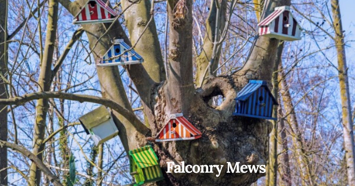 falconry mews