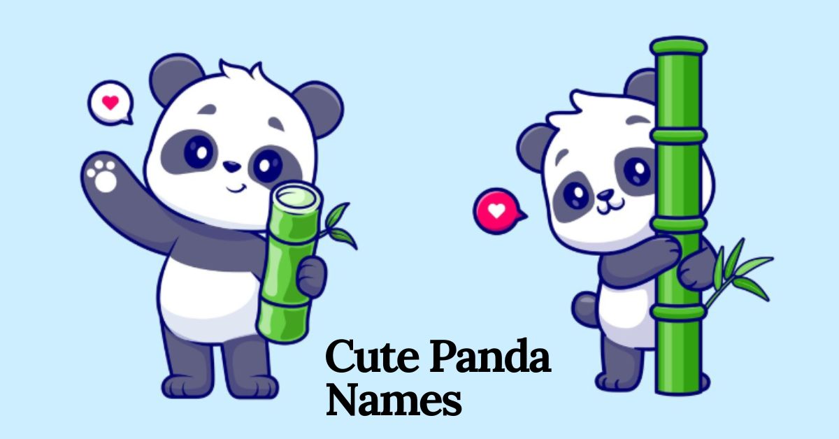 Cute panda names