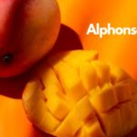 Alphonso mango