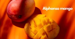 Alphonso mango